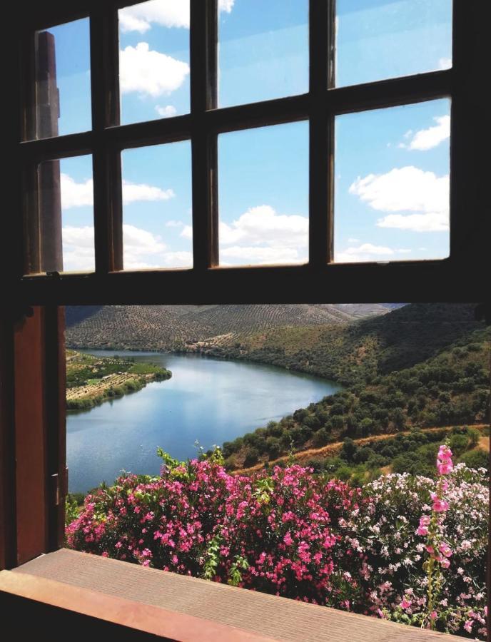 Villa Auri Vila Nova de Fozcoa Bagian luar foto