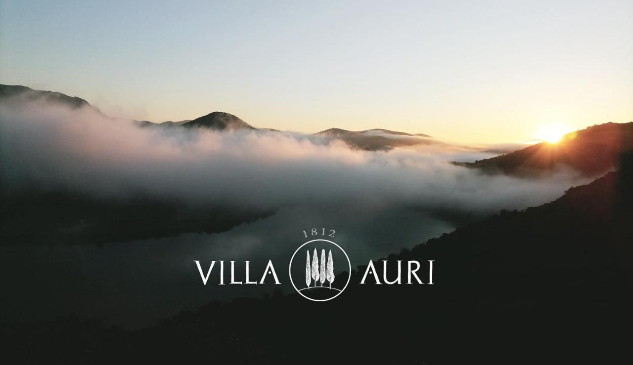 Villa Auri Vila Nova de Fozcoa Bagian luar foto