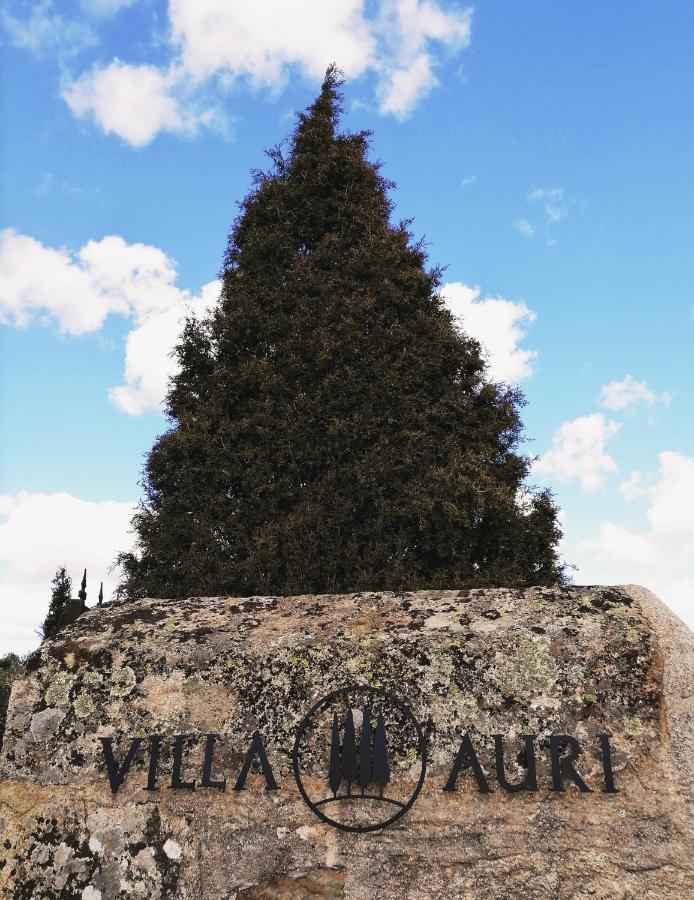 Villa Auri Vila Nova de Fozcoa Bagian luar foto